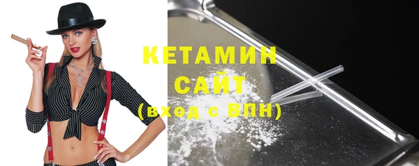 крисы Слюдянка